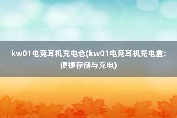 kw01电竞耳机充电仓(kw01电竞耳机充电盒：便捷存储与充电)