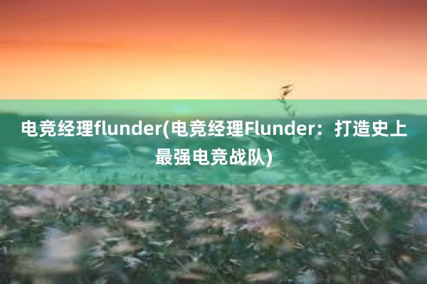 电竞经理flunder(电竞经理Flunder：打造史上最强电竞战队)