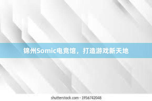 锦州Somic电竞馆，打造游戏新天地