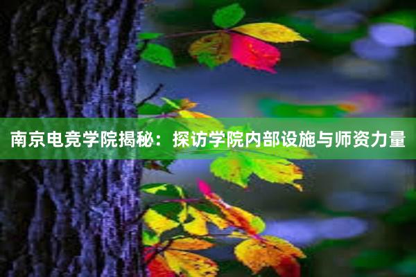 南京电竞学院揭秘：探访学院内部设施与师资力量